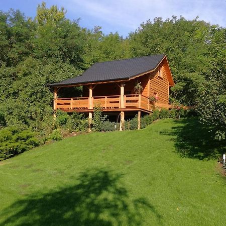 Villa Eden Ślesin Buitenkant foto