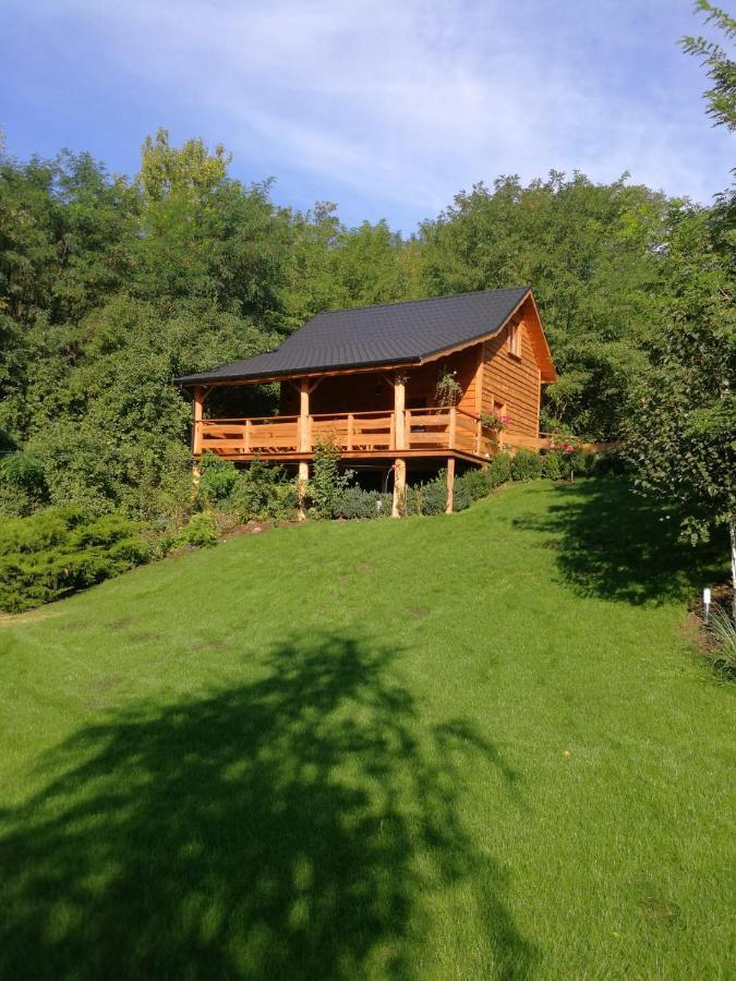 Villa Eden Ślesin Buitenkant foto